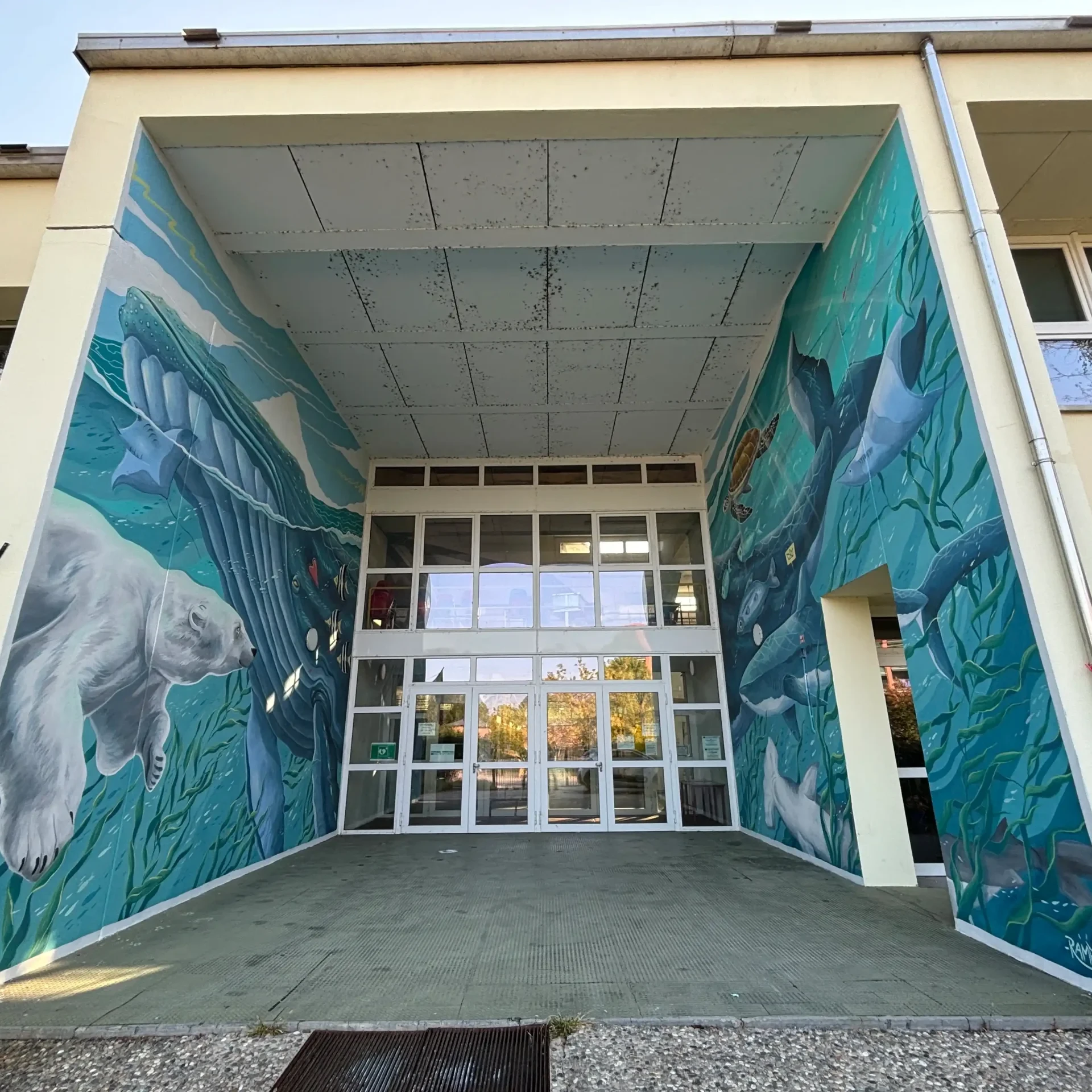 Panoramica murales a tema ecosistema marino