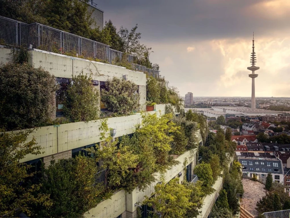 green_rooftop_hamburg