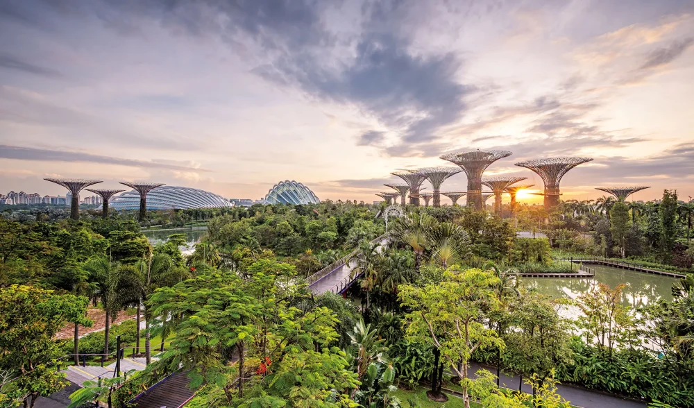Green_Plan-Singapore