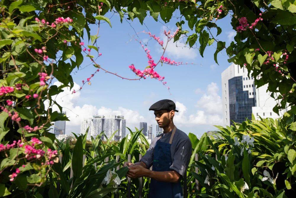 Green_Plan_Singapore